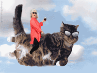 Paula Deen Riding Things Meme Template