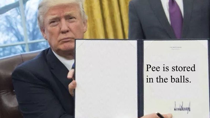 Pee Is Stored in the Balls Meme Template