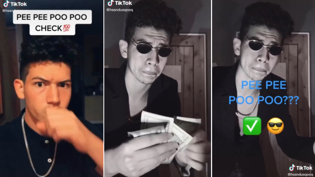 Pee Pee Poo Poo Check