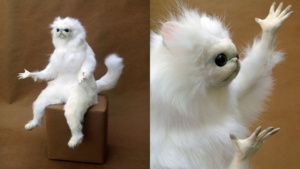 Persian Cat Room Guardian Meme Template