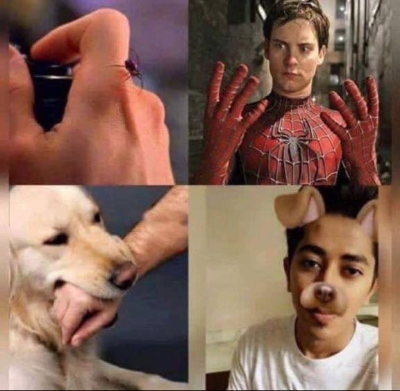 Peter Parker's Spider Bite