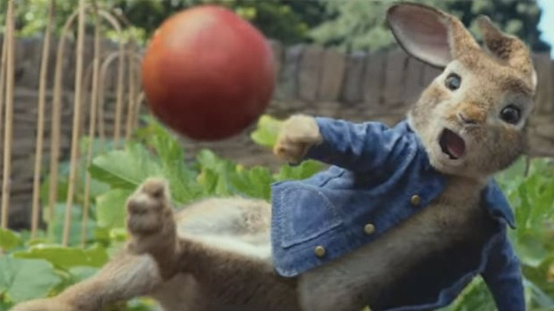 Peter Rabbit Allergy Bullying Controversy Meme Template