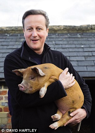 PigGate / Hameron