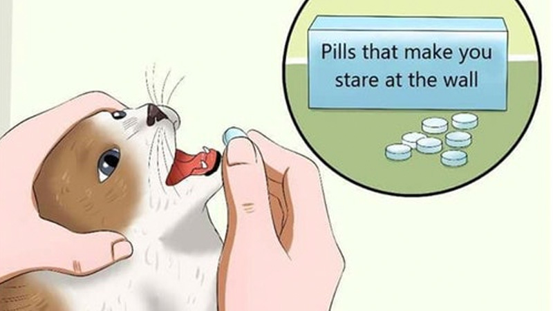 Pills That Make You Stare
