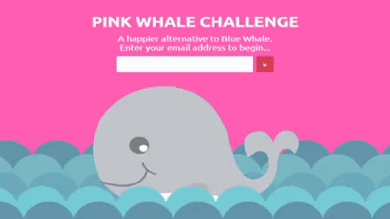 Pink Whale Challenge