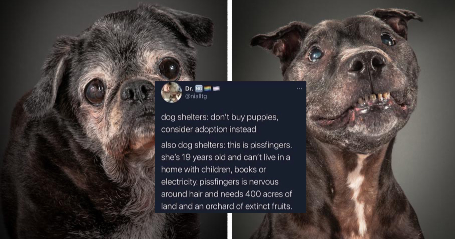 Pissfingers Meme Template