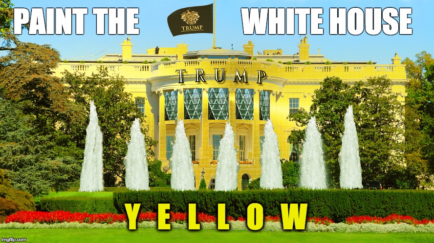 #Pissgate / The Pee Tape