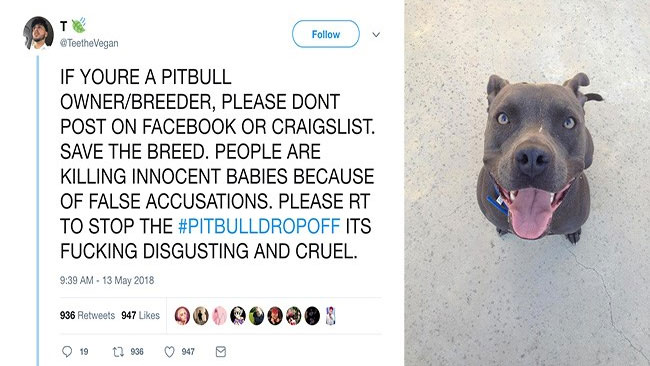 #PitBullDropOff