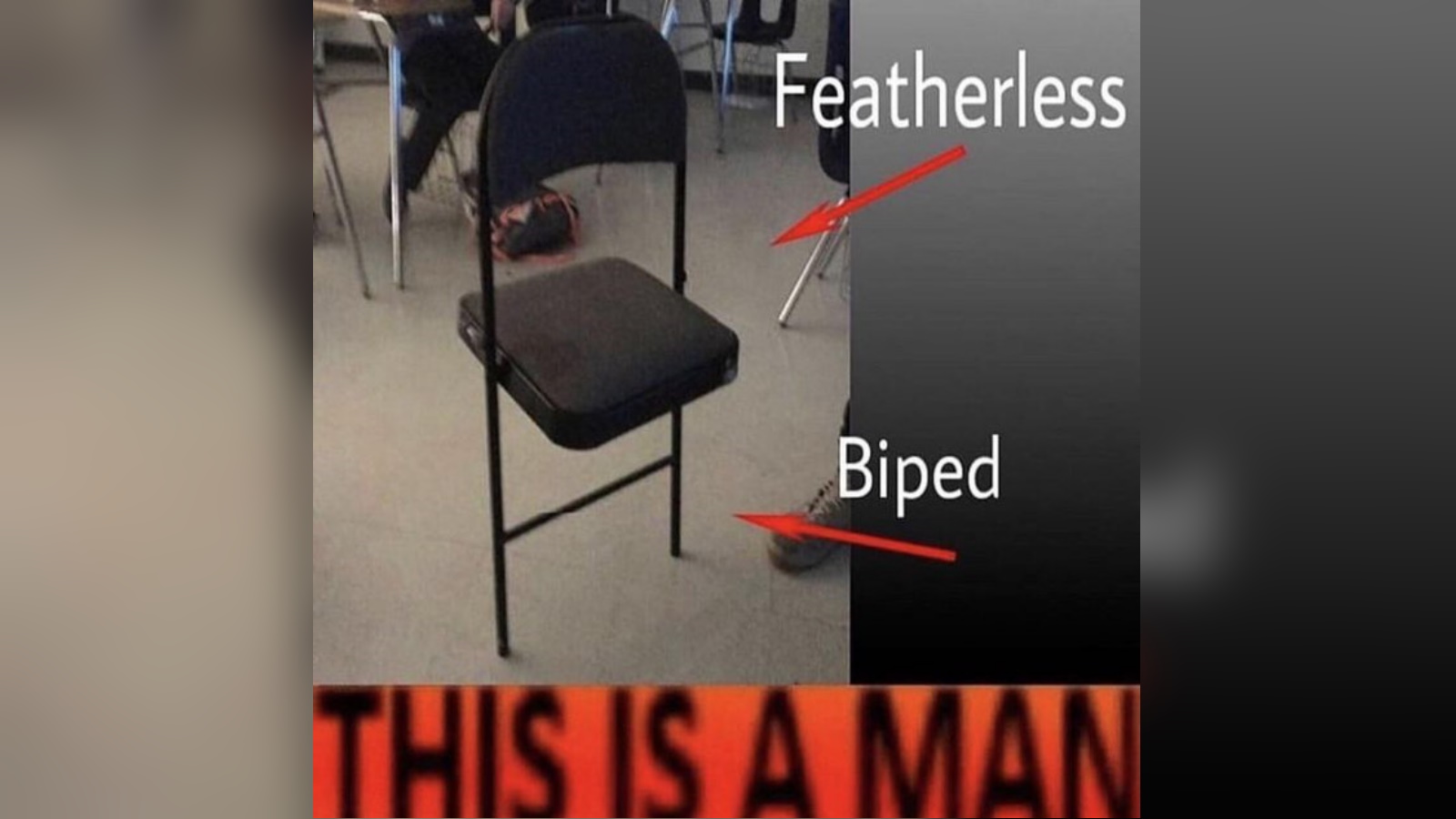 Plato's Man / Featherless Biped