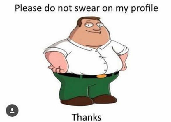 Please Do Not Swear On My Profile, Thanks Meme Template