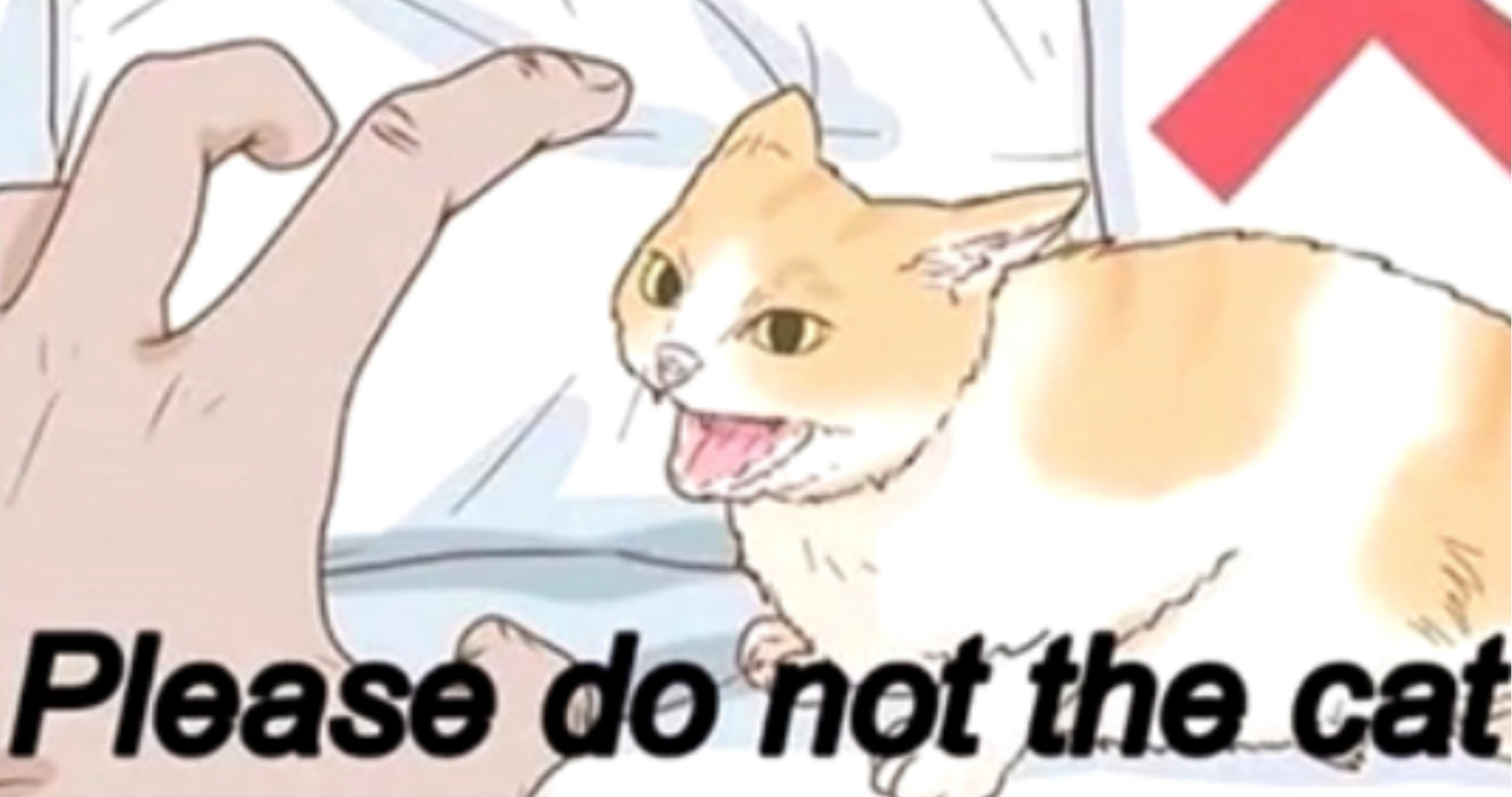Please Do Not The Cat