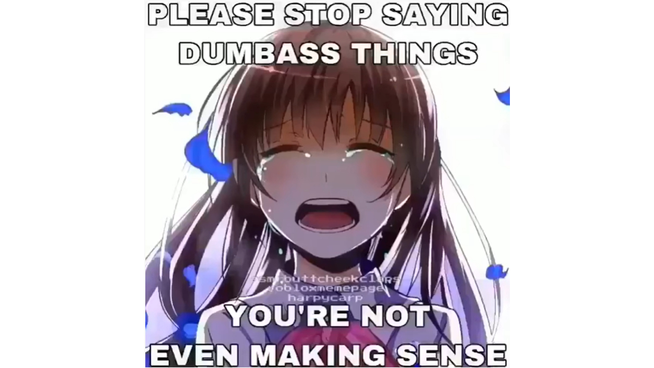 Please Stop Saying Dumbass Things Meme Template