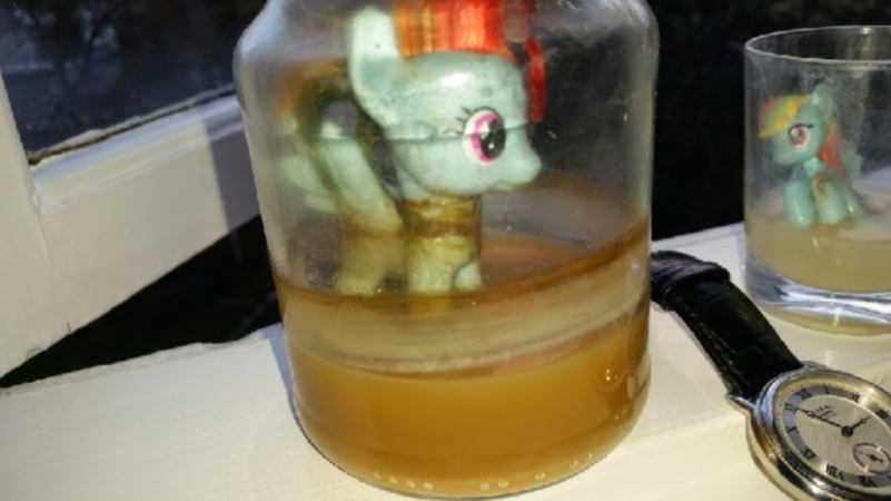 Pony Cum Jar Project
