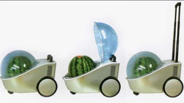 Portable Watermelon Cooler Meme Template