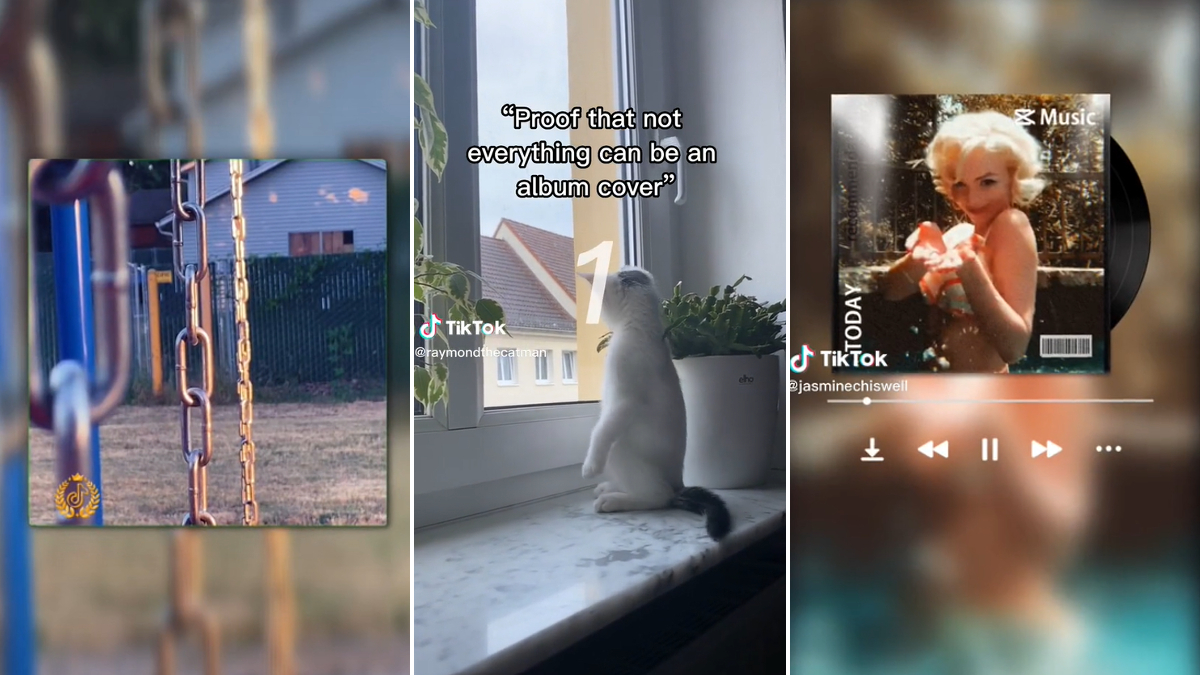 Proof That Not Everything Can Be An Album Cover Meme Template