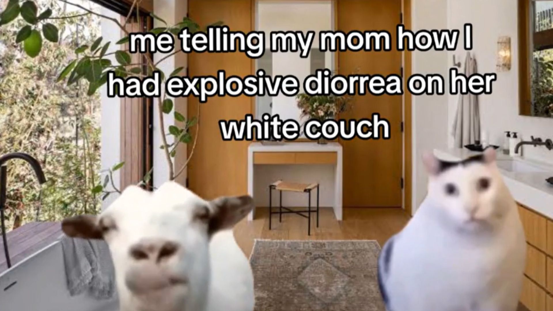 Rambling Goat and Huh? Cat / Goat Cat Huh? Meme Template