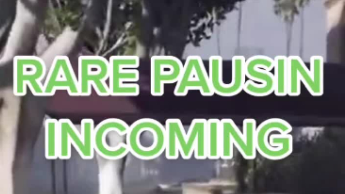 Rare Pausin Meme Template