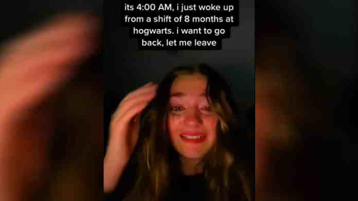 Reality Shifting Meme Template