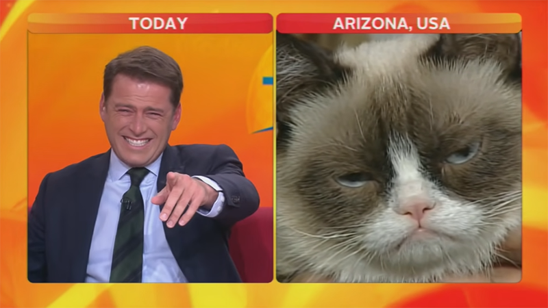 Reporter Laughing at Cat Meme Template
