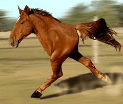 Retarded Running Horse / Two Legged Horse