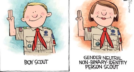 Rick McKee's Boy Scout Cartoon