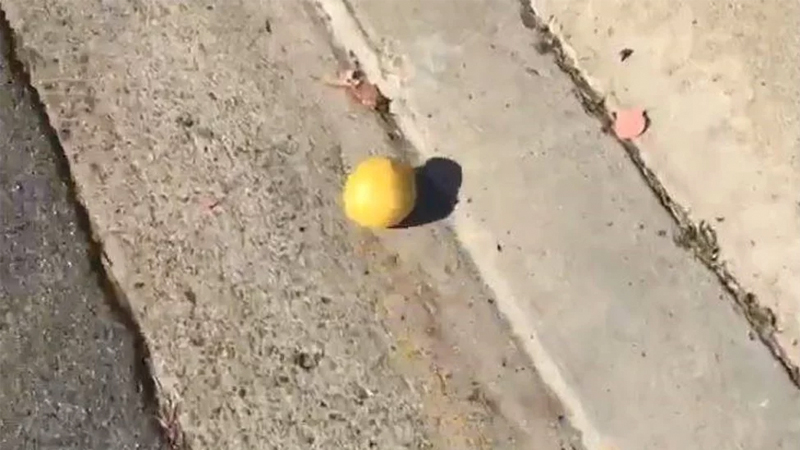 Rolling Lemon Meme Template