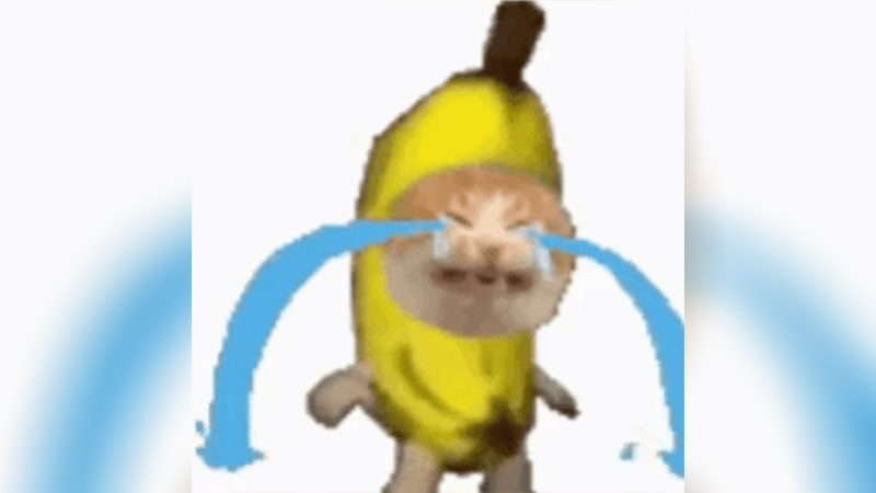 Sad Banana Cat Meme Template