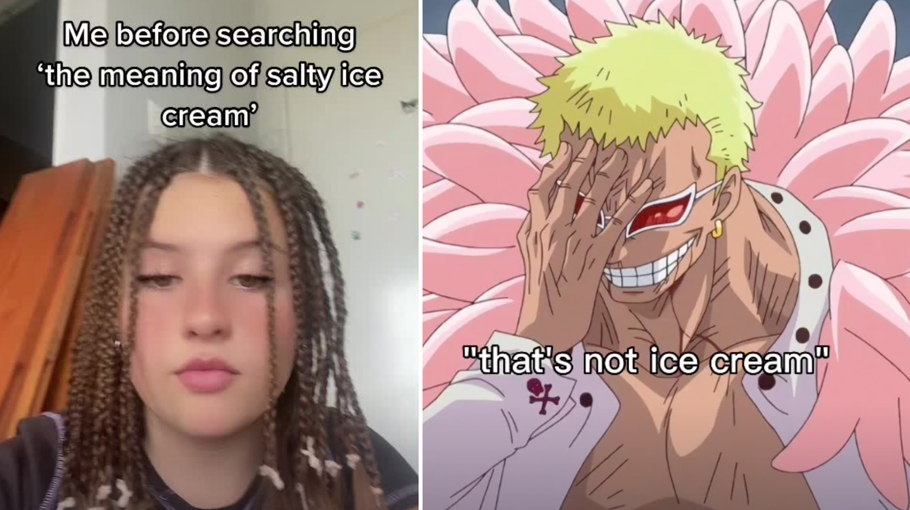 Salty Ice Cream / Saltyicecream Meme Template