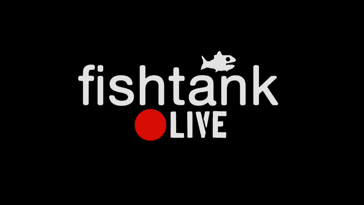 Sam Hyde's 'Fishtank Live'