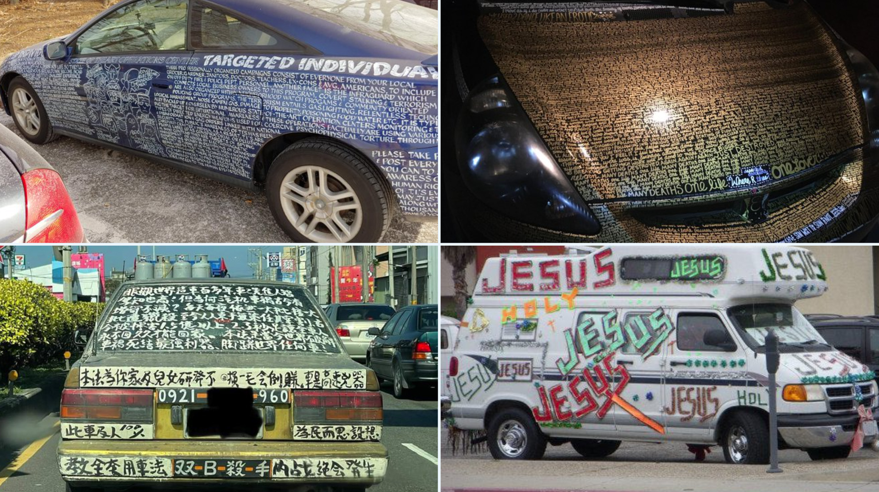 Schizophrenia Rides / Schizo Whips