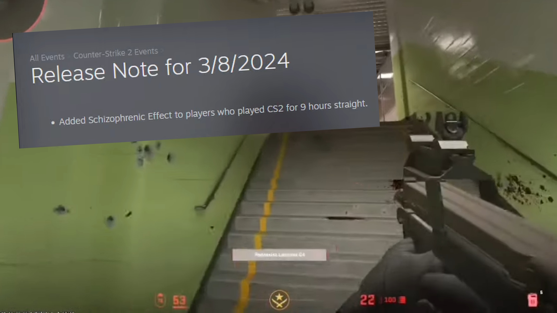 Schizophrenia Update / They Added Schizophrenia