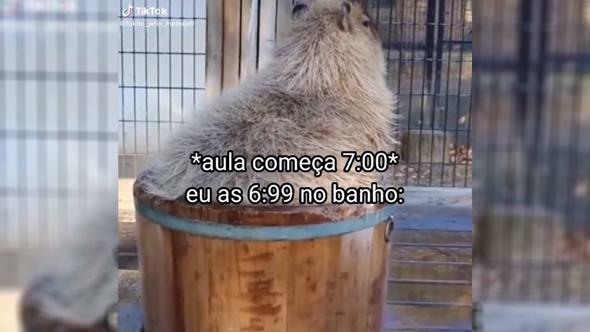 School Starts At 7:00 AM / Me At 6:99 AM Meme Template