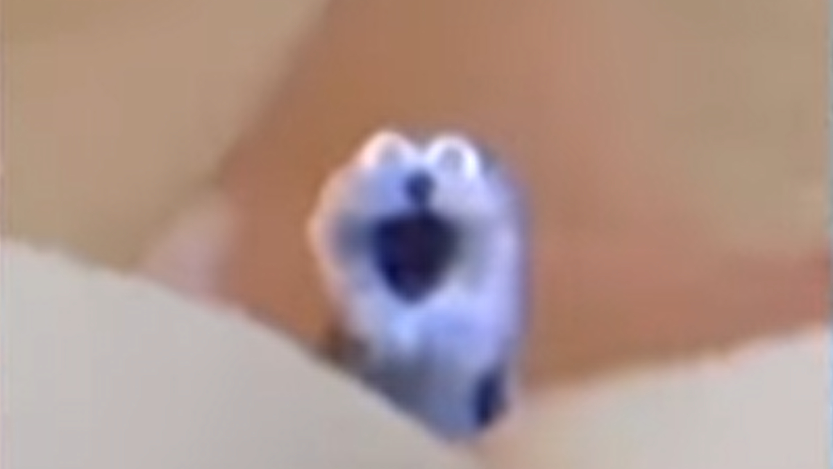 Screaming Blue Thing Meme Template