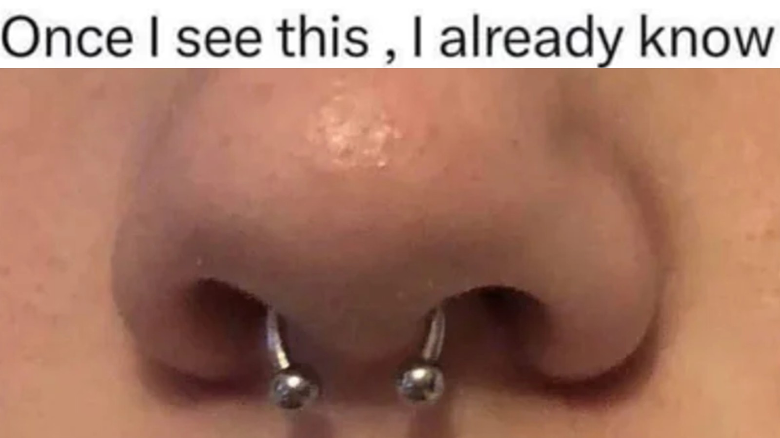 Septum Theory Meme Template