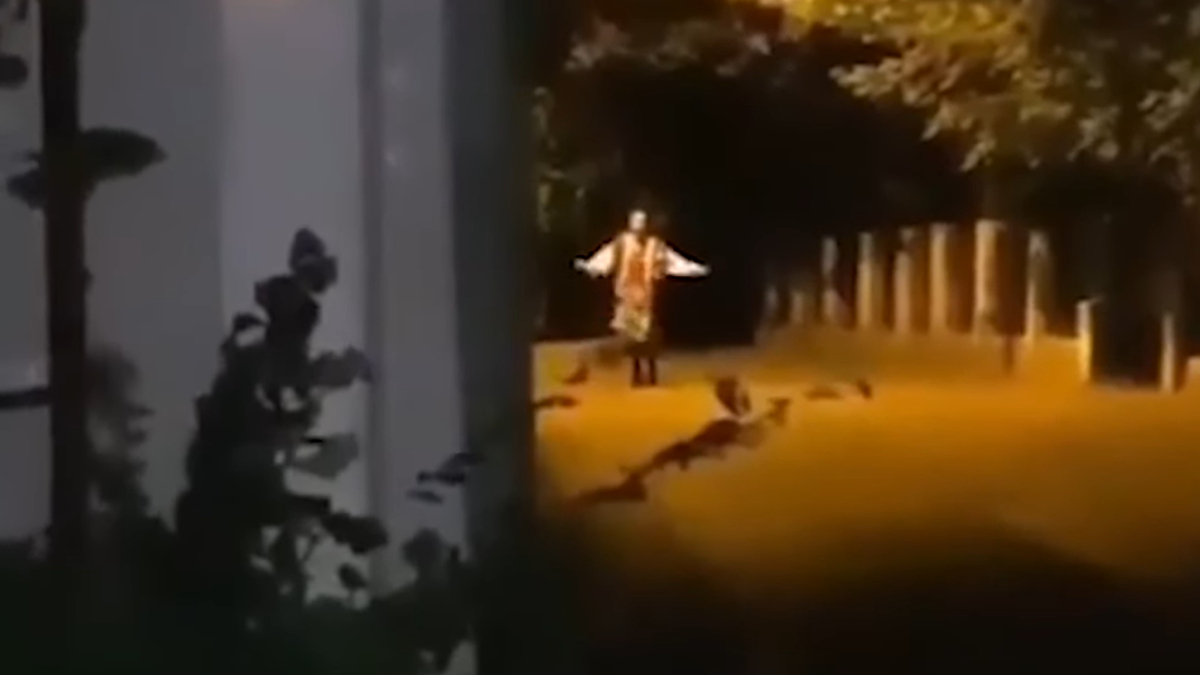 Serbian Dancing Lady Meme Template