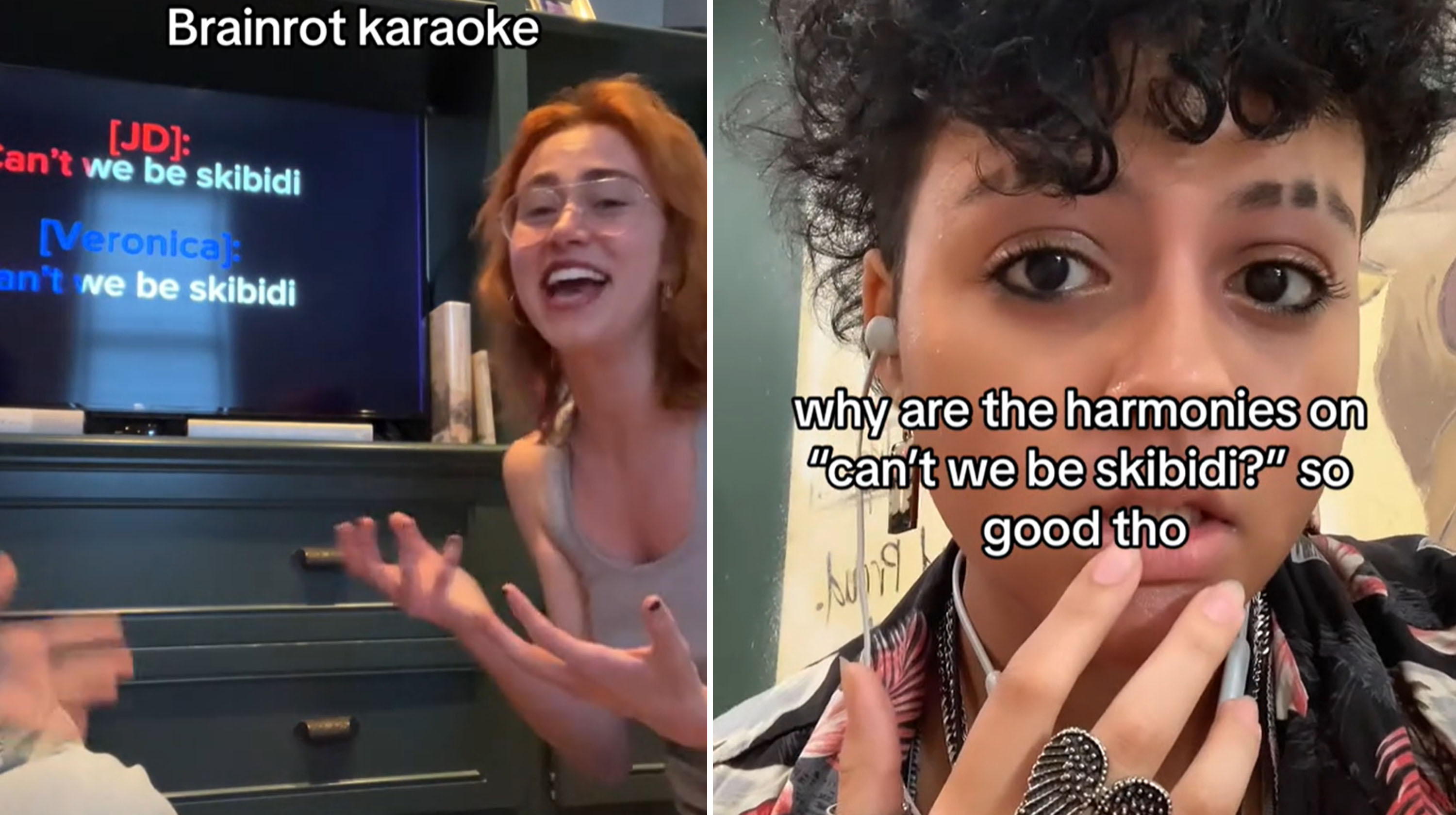 Seventeen (Brainrot Version) Meme Template