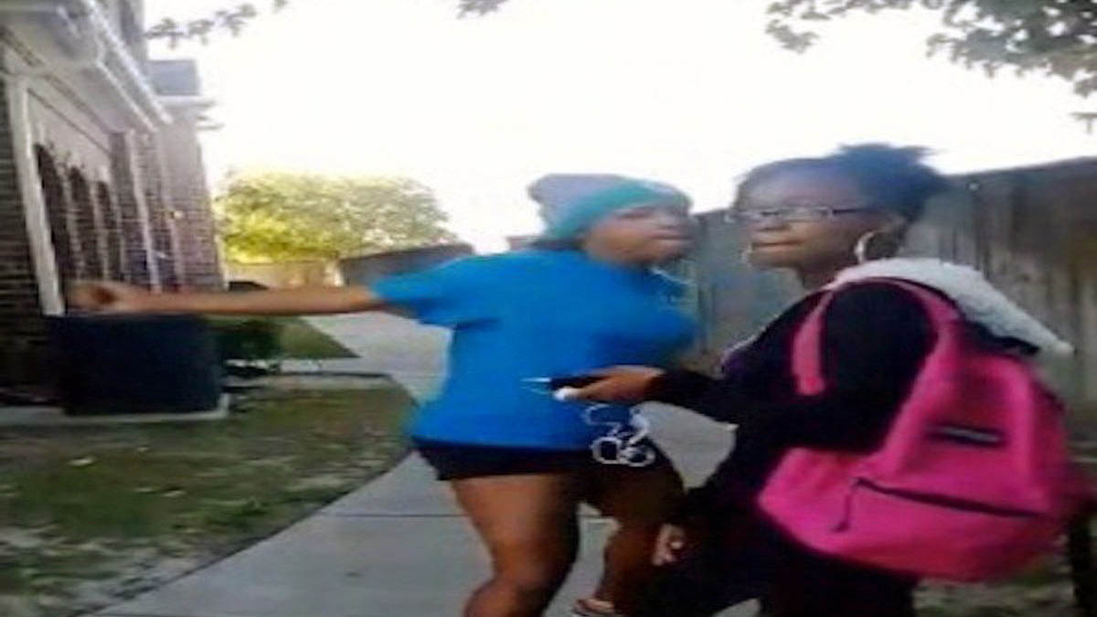Sharkeisha Fight Video Meme Template