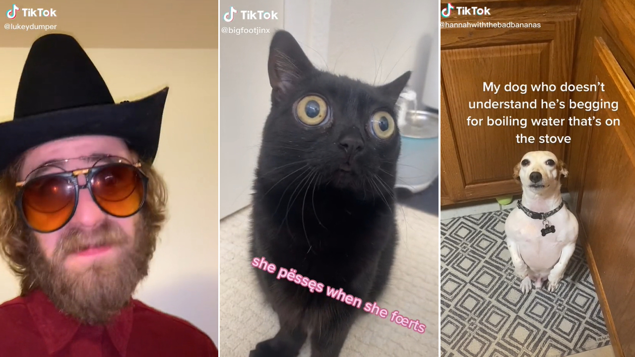 She Pisses When She Farts Meme Template