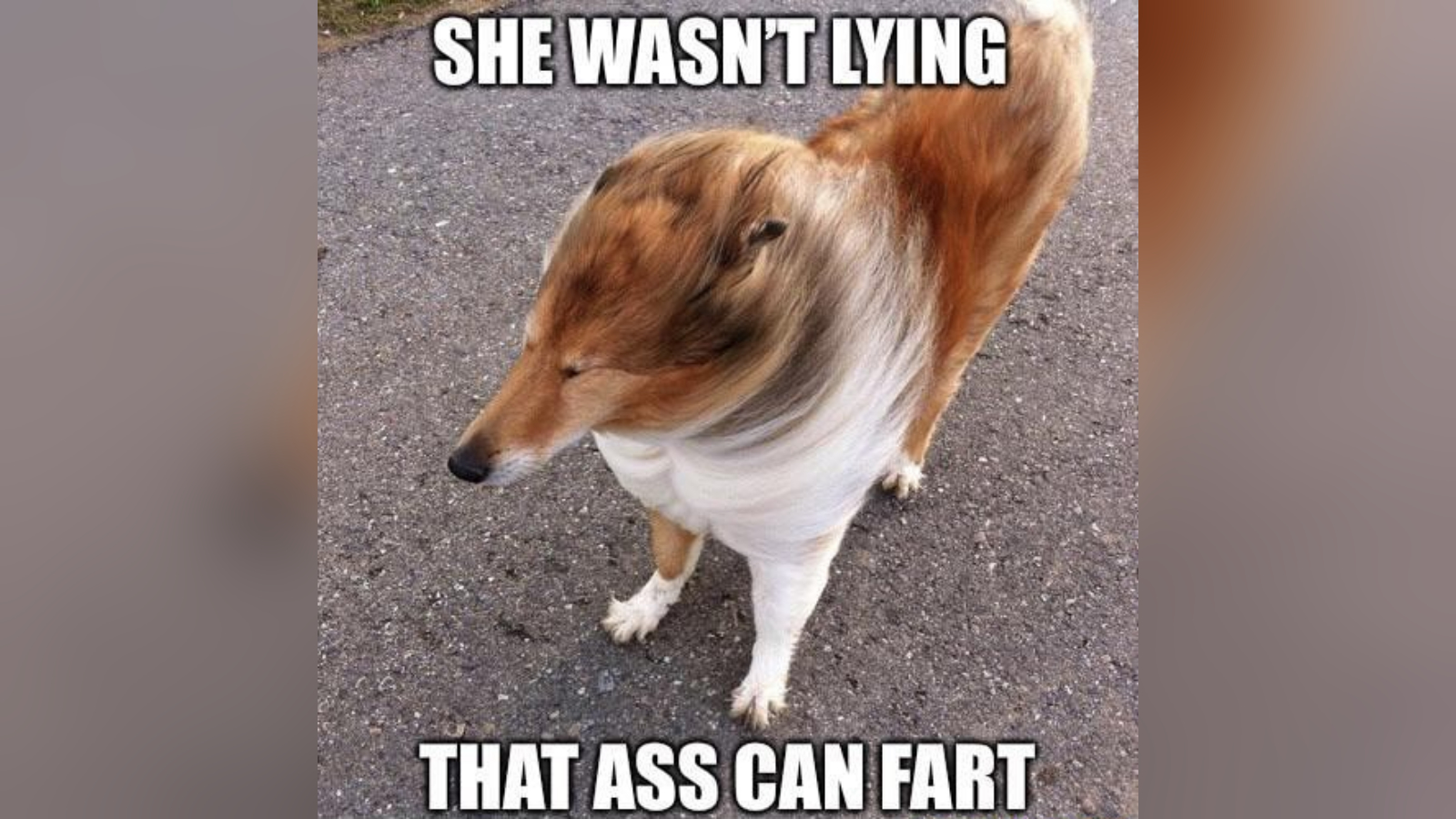 She Wasn't Lying, That Ass Can Fart