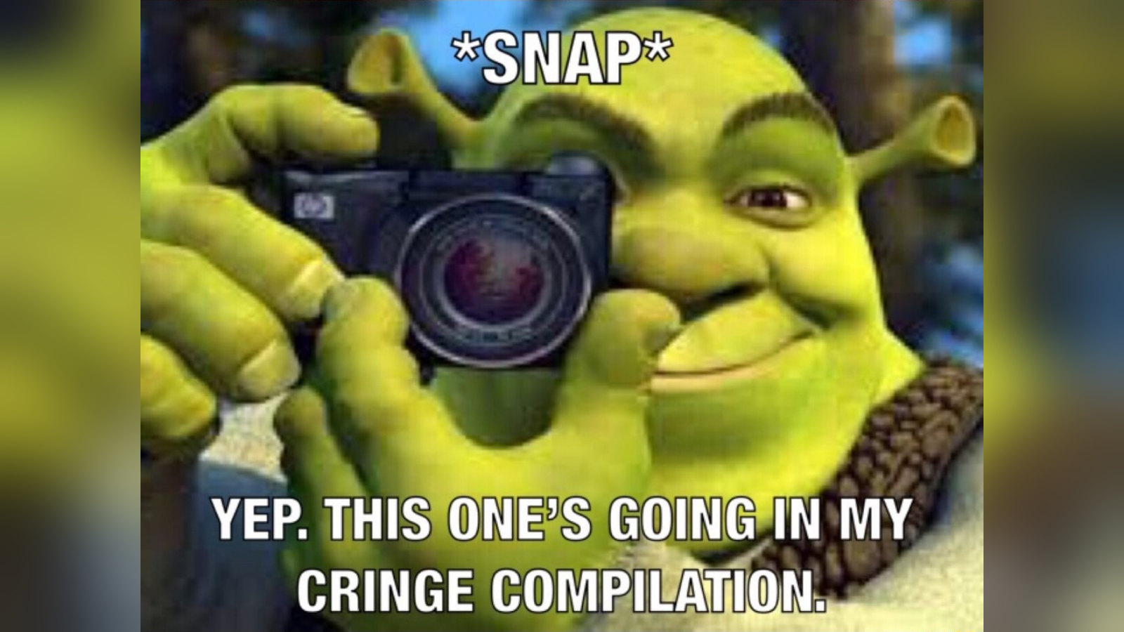 Shrek's Cringe Compilation Meme Template