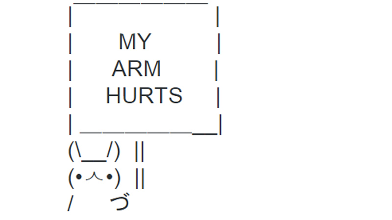 Sign Bunny Meme Template