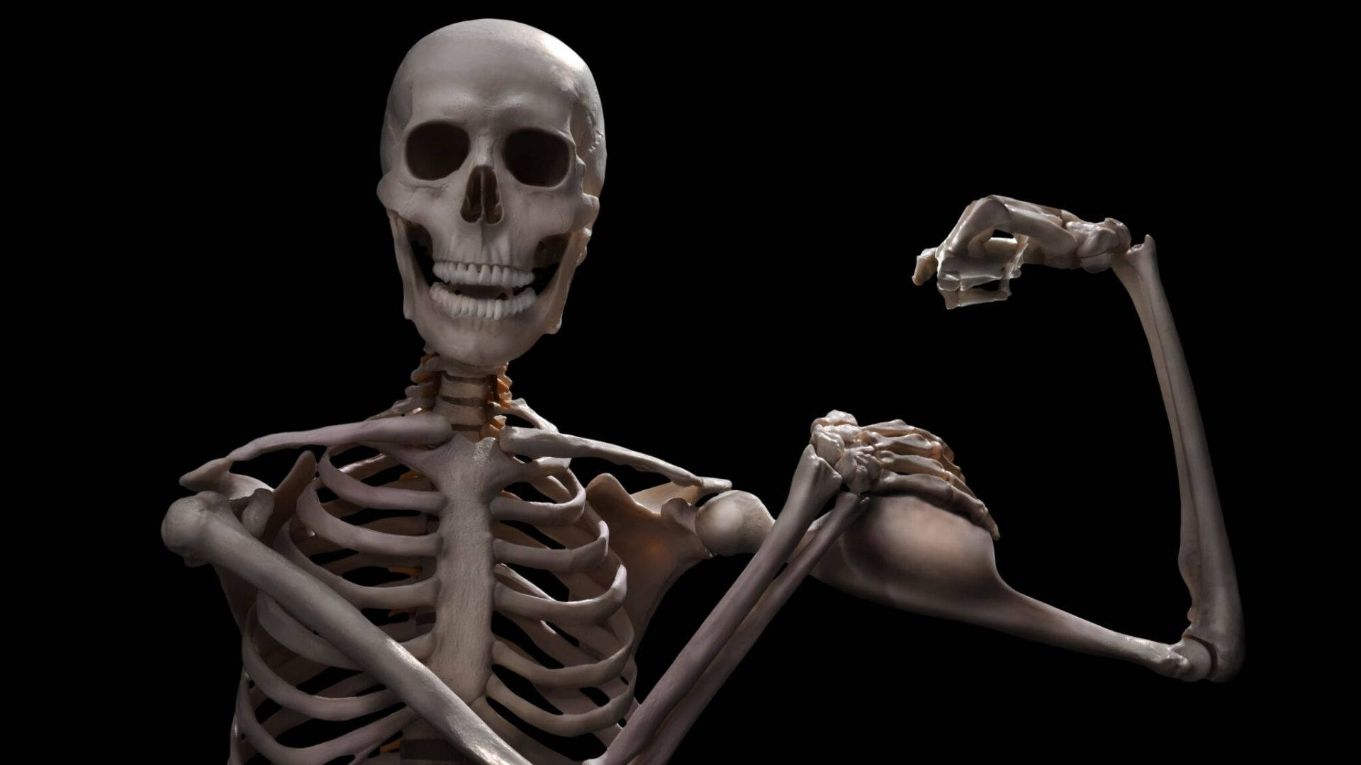 Skeletons Meme Template