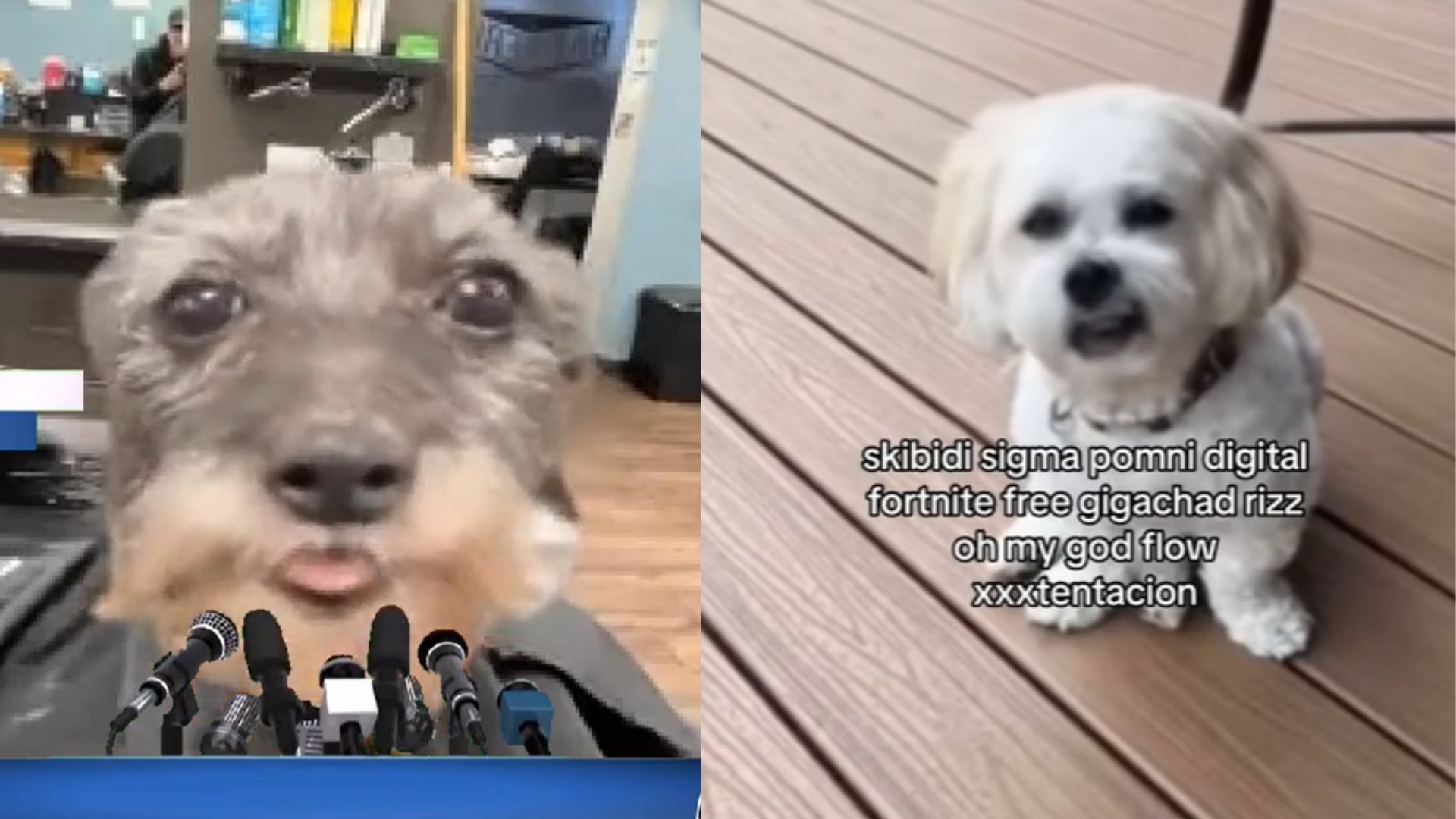 Skibidi Sigma Pomni Digital Fortnite Meme Template