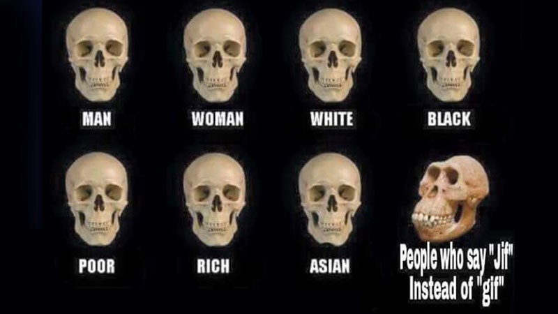 Skull Comparisons Meme Template