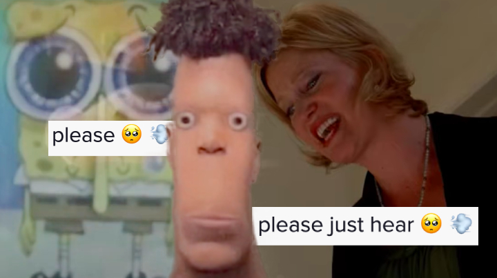 Skyler White's "Please Just Hear Me Out" Meme Template