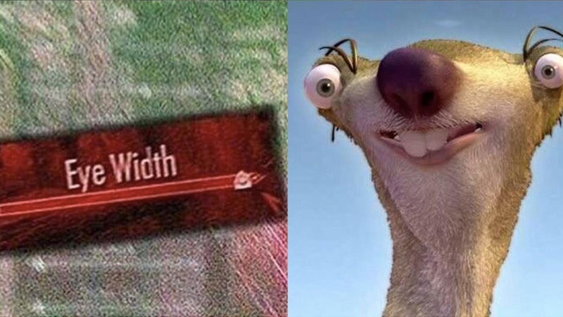 Skyrim Eye Width Meme Template