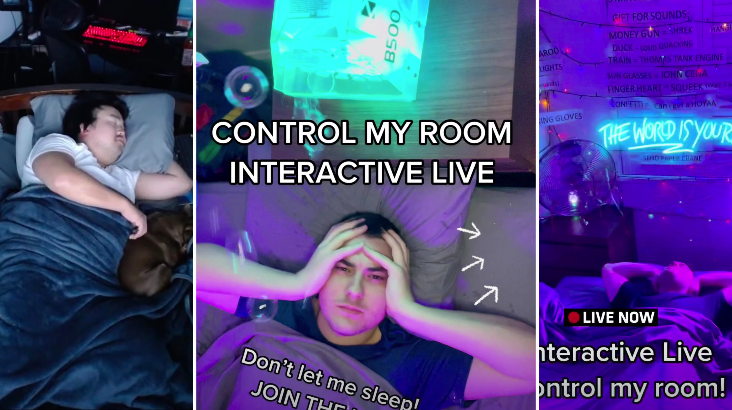 Sleep Stream / Control My Room Live Meme Template