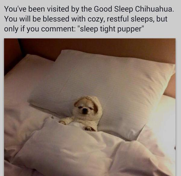 Sleep Tight Pupper