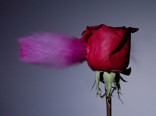 Slow Motion Meme Template