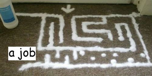 Slug Maze Meme Template